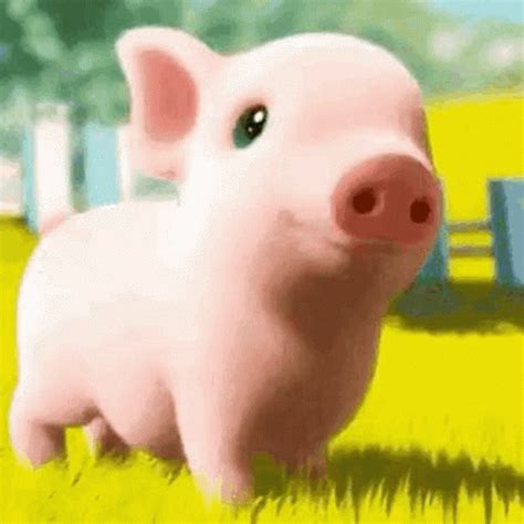 cute pigs gif|happy pig gif.